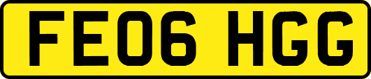 FE06HGG