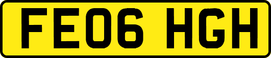 FE06HGH