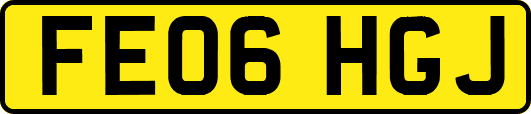 FE06HGJ