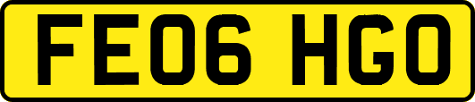 FE06HGO