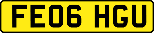 FE06HGU