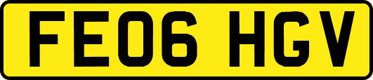FE06HGV