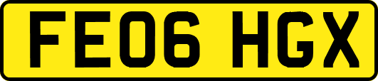 FE06HGX
