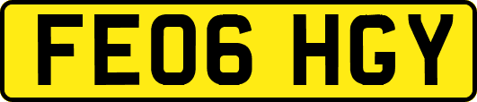 FE06HGY