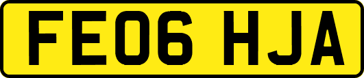 FE06HJA