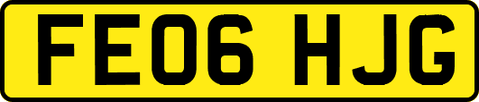 FE06HJG