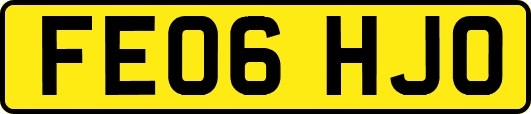 FE06HJO