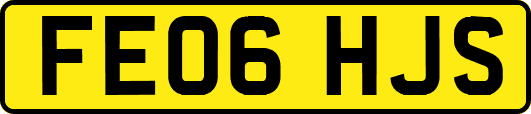 FE06HJS