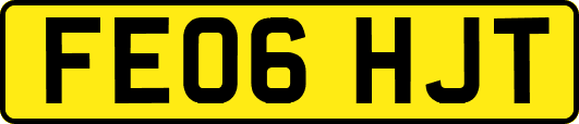 FE06HJT