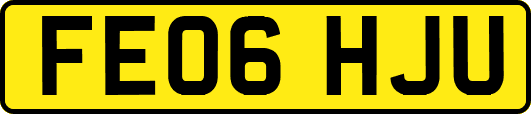 FE06HJU