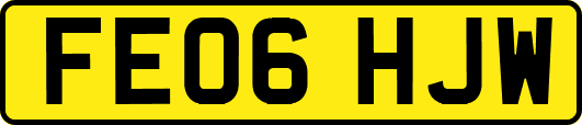 FE06HJW