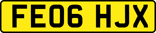 FE06HJX