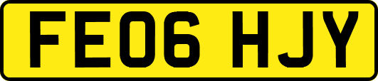 FE06HJY