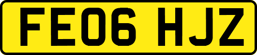 FE06HJZ