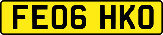 FE06HKO