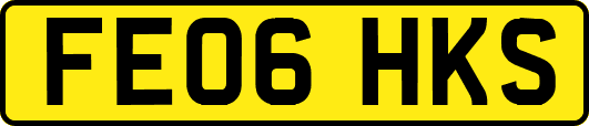 FE06HKS