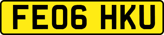 FE06HKU