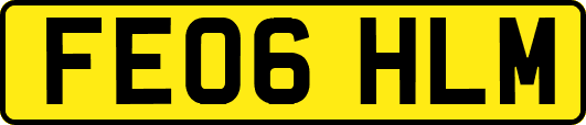 FE06HLM