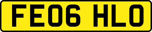 FE06HLO