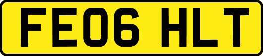 FE06HLT