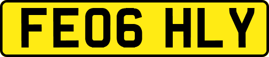 FE06HLY