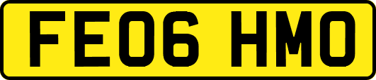 FE06HMO