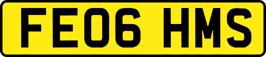 FE06HMS
