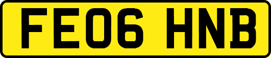 FE06HNB