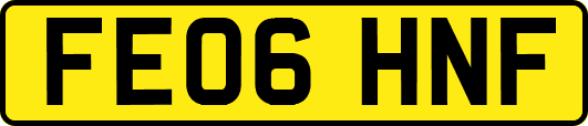 FE06HNF