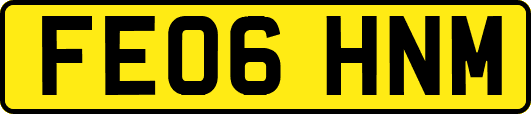 FE06HNM