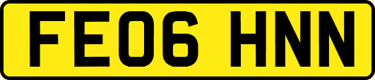 FE06HNN