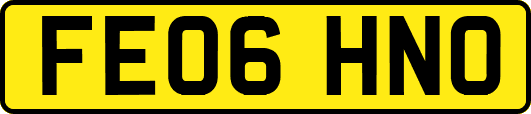 FE06HNO