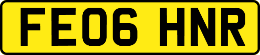 FE06HNR