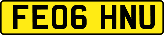 FE06HNU