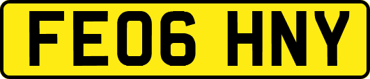 FE06HNY