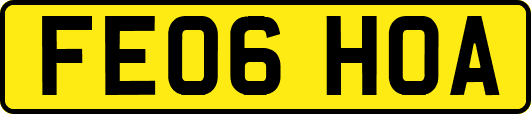 FE06HOA