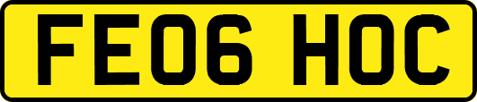 FE06HOC