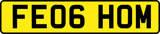 FE06HOM