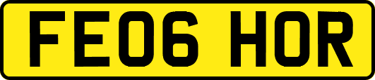 FE06HOR