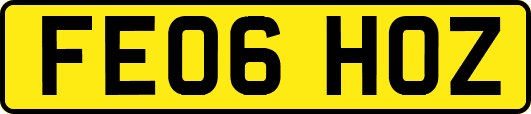 FE06HOZ