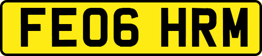 FE06HRM