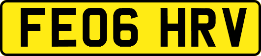 FE06HRV