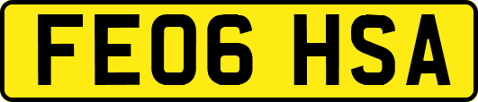 FE06HSA