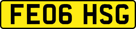 FE06HSG