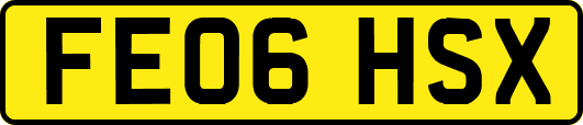 FE06HSX