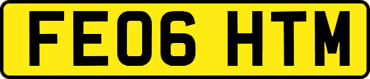 FE06HTM
