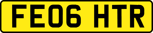 FE06HTR