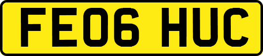 FE06HUC