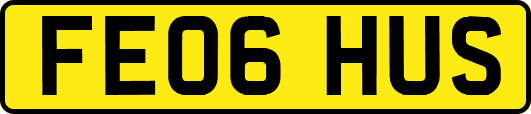 FE06HUS