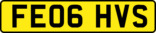 FE06HVS